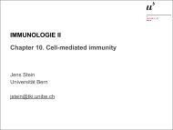 Chapter 10. Types of cell-mediated immunity - UniversitÃ¤t Bern