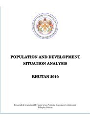 Population and Development Situation Analysis Report