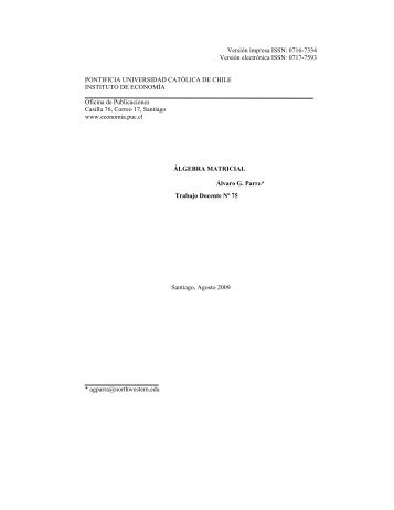 Download PDF - Instituto de EconomÃ­a - Pontificia Universidad ...