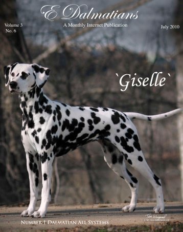 Download July Edition in PDF - E Dalmatians