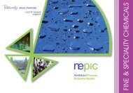Fine & Speciality Chemicals (PDF) - NEPIC