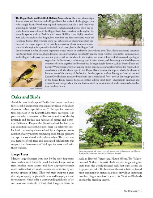 Oak Ecosystems in the Pacific Northwest - American Bird Conservancy