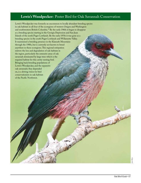 Oak Ecosystems in the Pacific Northwest - American Bird Conservancy