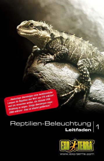 Reptilien-Beleuchtung - Reptile-food.ch