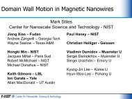 Domain Wall Motion in Magnetic Nanowires - PiTP