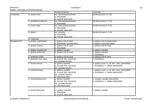 Spieren - innervatie en bloedvoorziening - Student Onbekend.nl