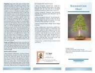 Boxwood Care Sheet