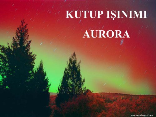 Auroralar