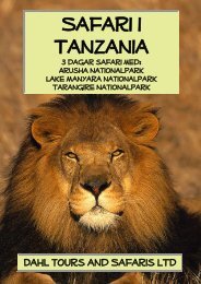 Safariprogram med Arusha Lake Manyara Tarangire - Dahl Safaris