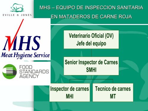 AUXILIARES DE INSPECCION VETERINARIA EN MATADEROS ...