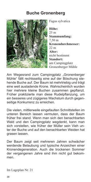 Was ein Baum leistet - Kreis Ostholstein