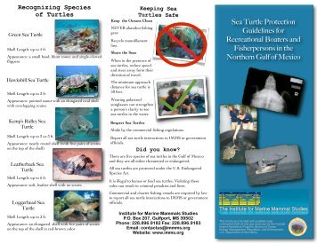 Sea Turtle Protection Brochure upd sm - The Institute for Marine ...