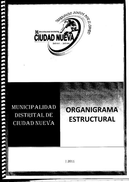 organigrama - Municipalidad Distrital de Ciudad Nueva