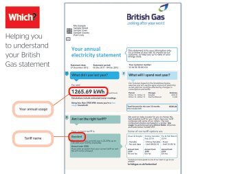 British Gas annual statement - Which.co.uk