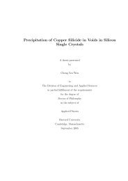 Precipitation of Copper Silicide in Voids in Silicon Single Crystals