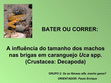 BATER OU CORRER: A influência do tamanho dos machos nas ...