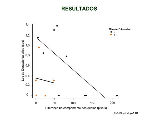 BATER OU CORRER: A influência do tamanho dos machos nas ...