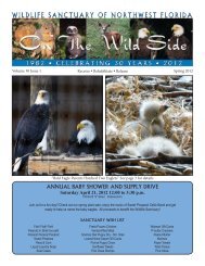 annual baby shower and supply drive - Wildlife Sanctuary of ...