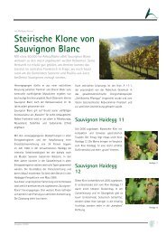 2008-04 Steirische Klone von Sauvignon Blanc