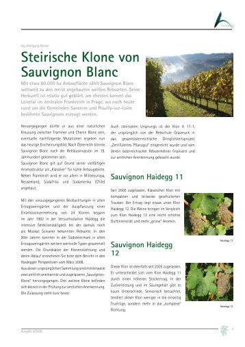 2008-04 Steirische Klone von Sauvignon Blanc