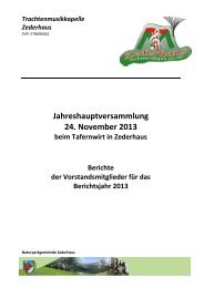 Handout zur Jahreshauptversammlung 2013