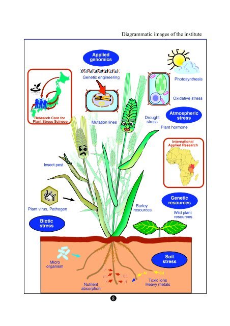 Institute of Plant Science and Resources