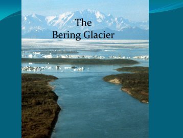 The Bering Glacier