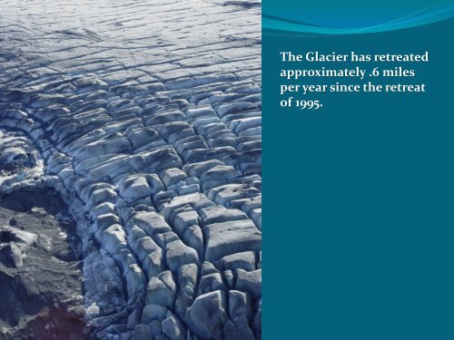 The Bering Glacier