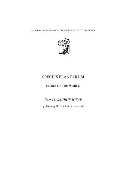 Saururaceae - Species Plantarum Programme