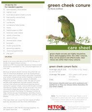 sun conure petco