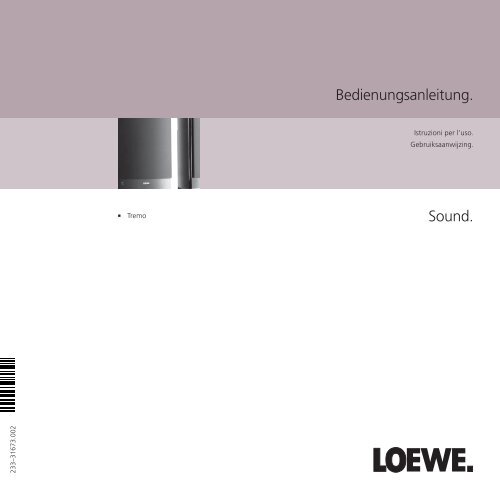 Anschließen - Loewe
