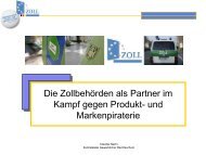 als PDF herunterladen - Steinbeis-Transferzentrum Infothek