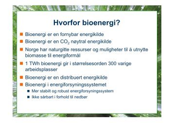 Hvorfor bioenergi?