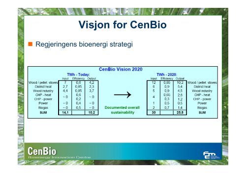 Hvorfor bioenergi?