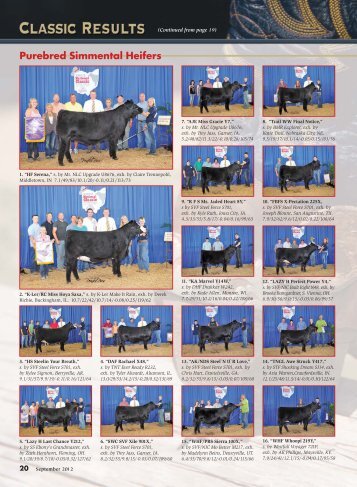 National Classic Show Results 2012 - American Simmental ...