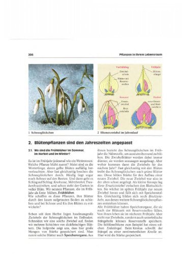 1 text - gemeinschaftsschule-moelln.de