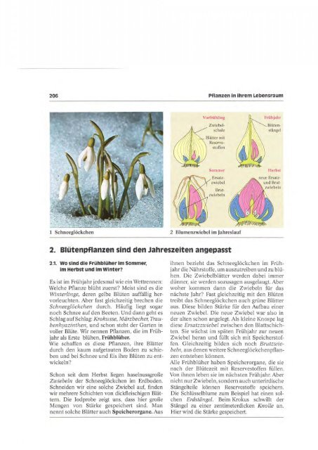 1 text - gemeinschaftsschule-moelln.de