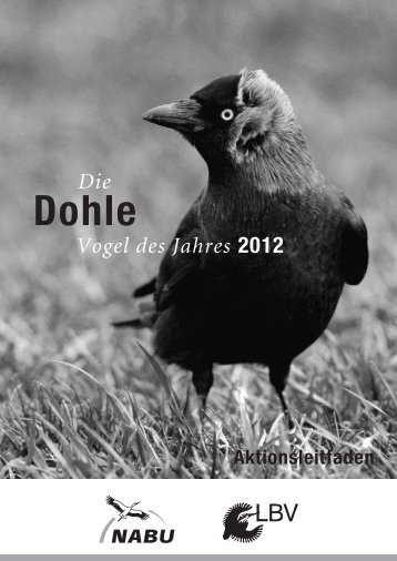 Vogel des Jahres 2012 Die - LBV-Kempten-Oberallgaeu