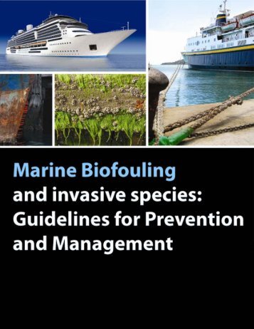 Guidelines on Marine Biofouling and Invasive Species (GISP 2008)