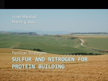 Sulfur and Nitrogen for Protein Building Dr. Juliet Marshall