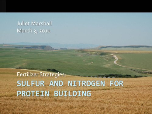 Sulfur and Nitrogen for Protein Building Dr. Juliet Marshall