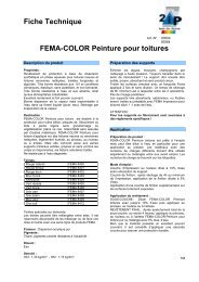 Fiche Technique FEMA-COLOR Peinture pour toitures - 2IP