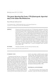 (Gastropoda Aporrhaidae) in the - Biodiversity Journal