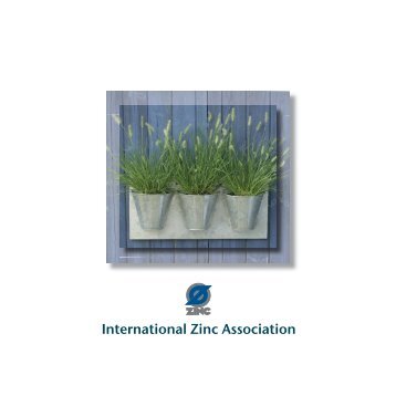 IZA Profile - International Zinc Association