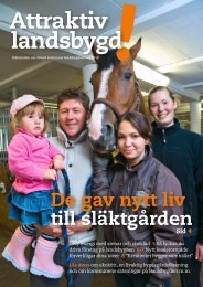 Attraktiv landsbygd.pdf - upplevelseriket