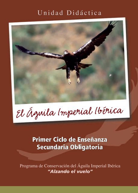 Ã guila Imperial IbÃ©rica - SEO/BirdLife