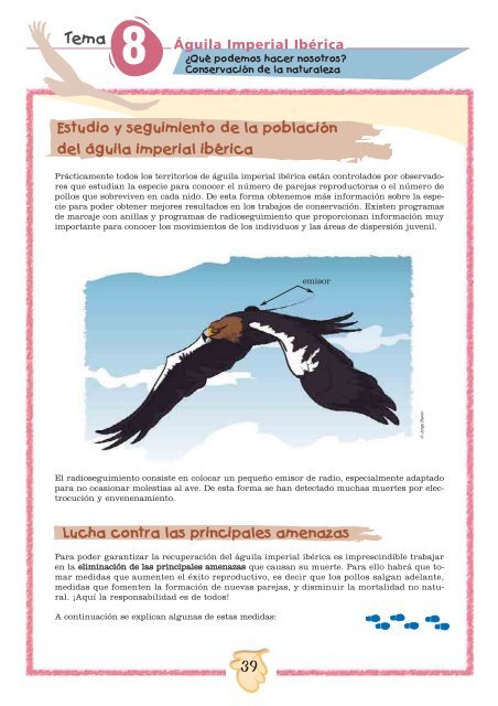 Ãguila Imperial IbÃ©rica - SEO/BirdLife