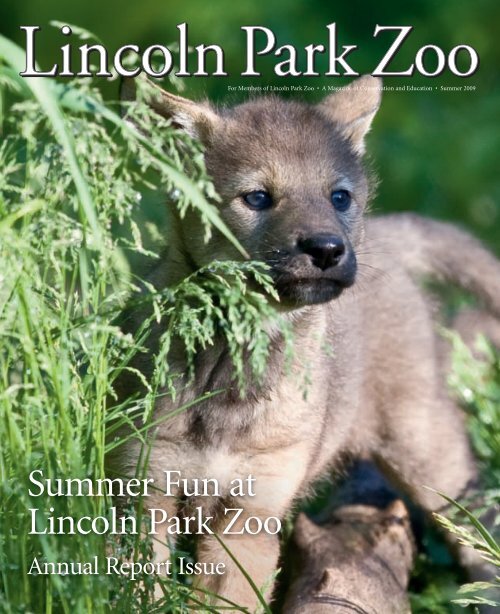 Lincoln Park Zoo's Run for the Zoo Returns in Support of Wildlife  Conservation and Animal Care