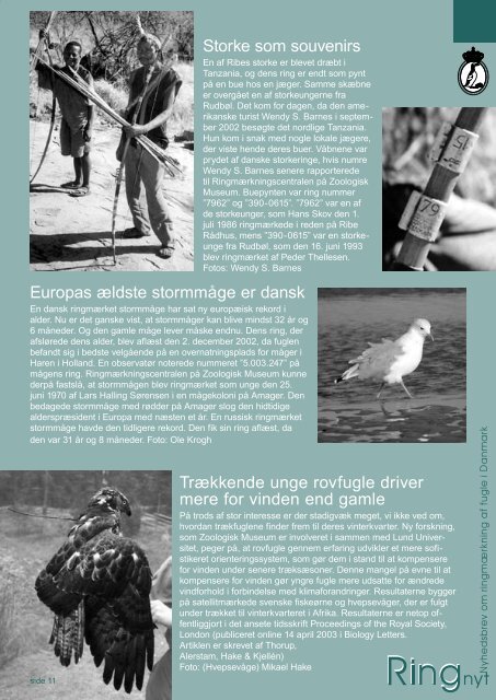 pdf version - Zoologisk Museum