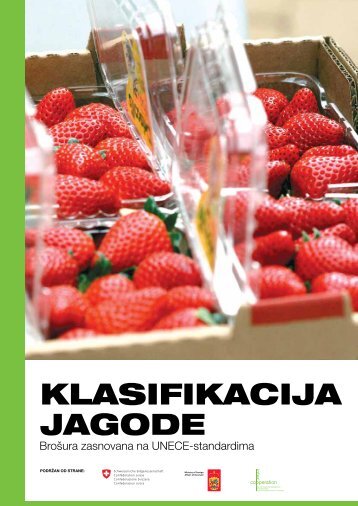 KlasifiKacija jagode - HELVETAS